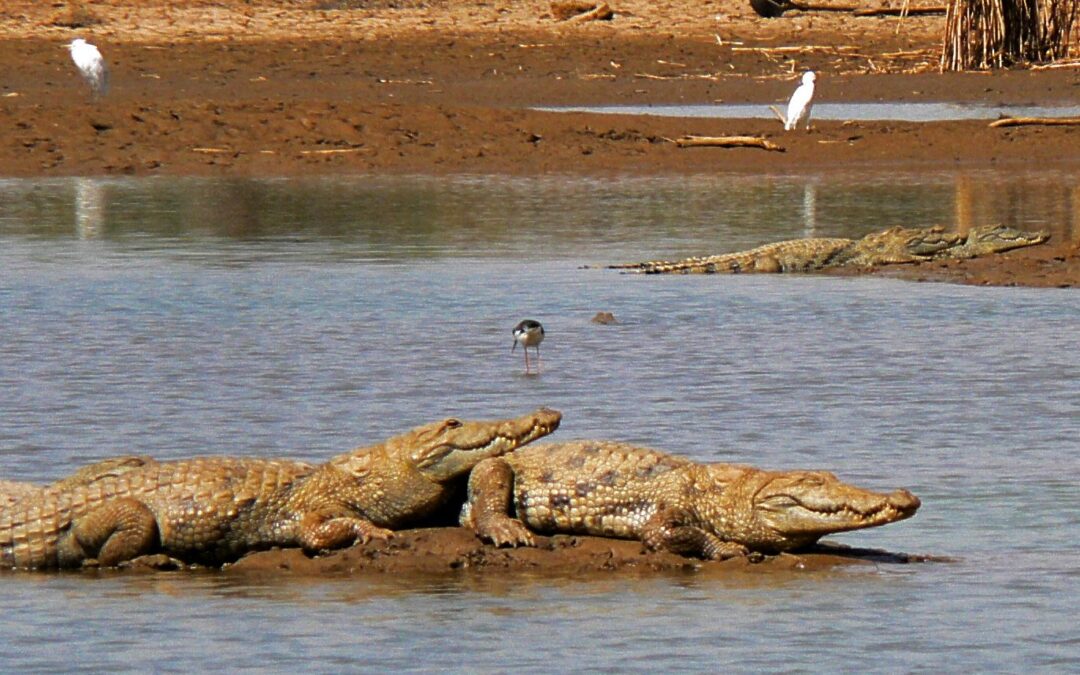 Burkina Faso – Ich komme!