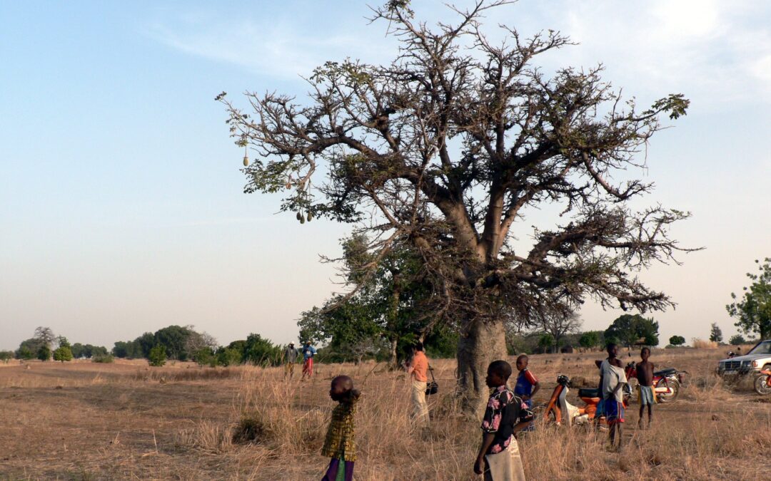 Sachartikel – Burkina Faso